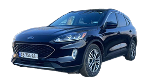 Details about SUV Ford Escape in Tbilisi