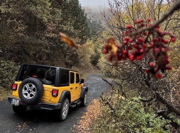 Autumn in Georgia - Car rental publications in Georgia | Car rental in Tbilisi | p.8